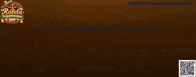 Protección de datos personales, HTTPS y seguridad del sitio para usuarios de Ruleta Tragamonedas